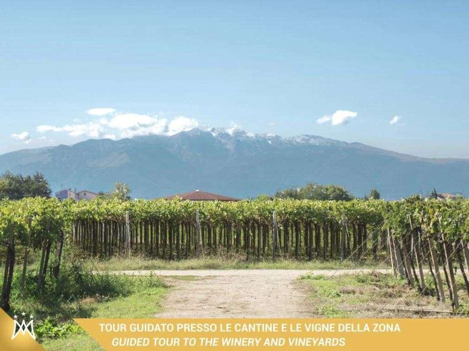 Magnificat Hotel&Resort Canosa Sannita Ανέσεις φωτογραφία